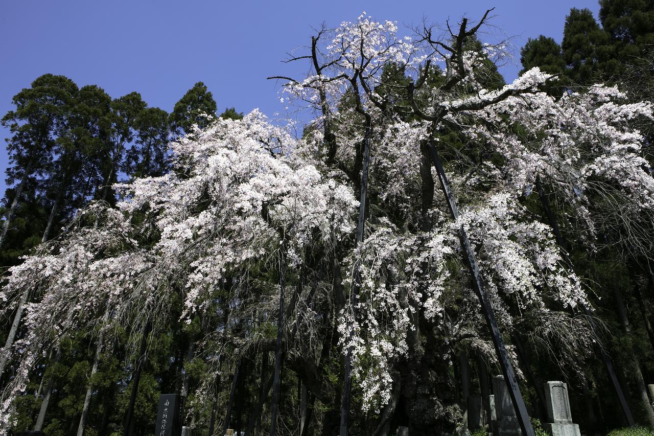Ryokan Warabino Takayama  Esterno foto