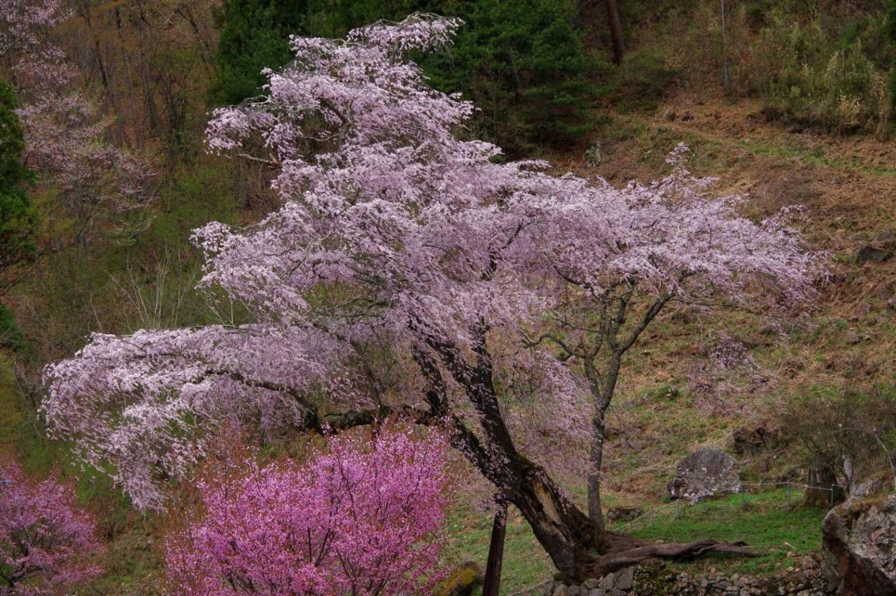 Ryokan Warabino Takayama  Esterno foto