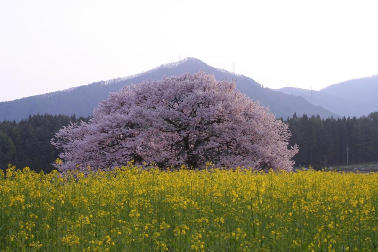 Ryokan Warabino Takayama  Esterno foto